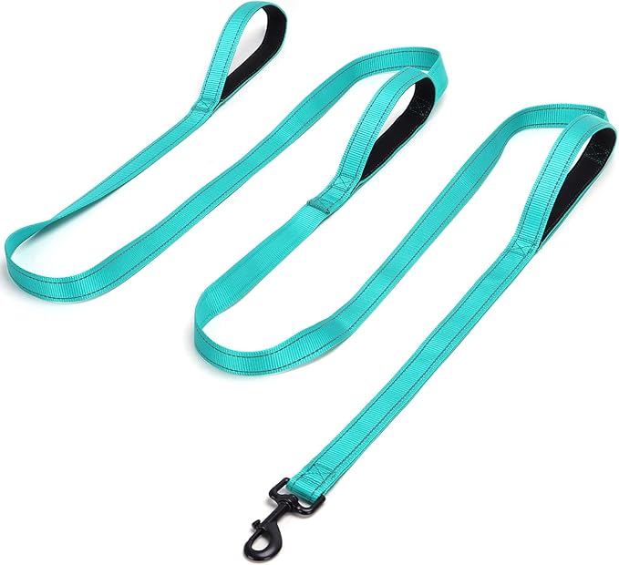3 Handle Dog Leash, 10FT Triple Handle Dog Leash Heavy Duty with Reflective Stitching, Padded Traffic Handles for Training, Control & Safety -Turquoise