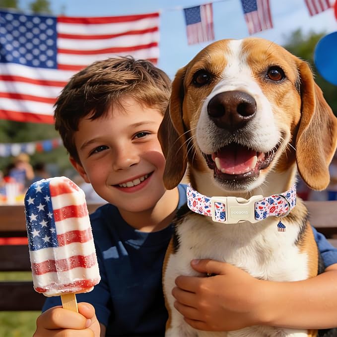 Summer Dog Collar for Boy Girl Dogs -Cute Popsicle Dog Collar, Adjustable Soft 4th of July Dogs Collars for Large Dogs, XL