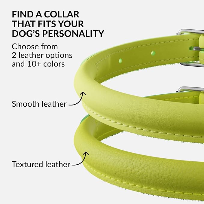 CollarDirect Rolled Leather Dog Collar, Soft Padded Round Puppy Collar, Handmade Genuine Leather Collar Dog Small Large Cat Collars 13 Colors (18-22 Inch, Lime Green Smooth)