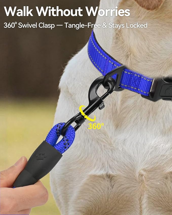 Joytale Dog Leash for Small Dogs, Heavy Duty Nylon Leashes with Comfortable Padded Handle and Highly Reflective Threads, Ideal for Walking and Training, Navyblue, 6'×3/8''