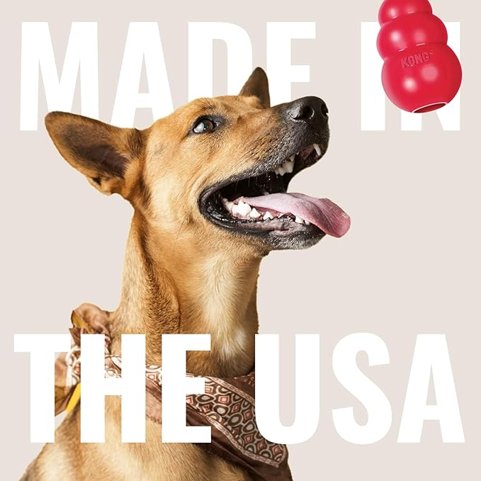 KONG Aqua Floating Fetch Toy - Dog Floating Toy for Water Retrieval, Play, Exercise & More - Natural Rubber Dog Toy with Foam Interior & Rope for Farther Throwing - Orange, for Large Dogs