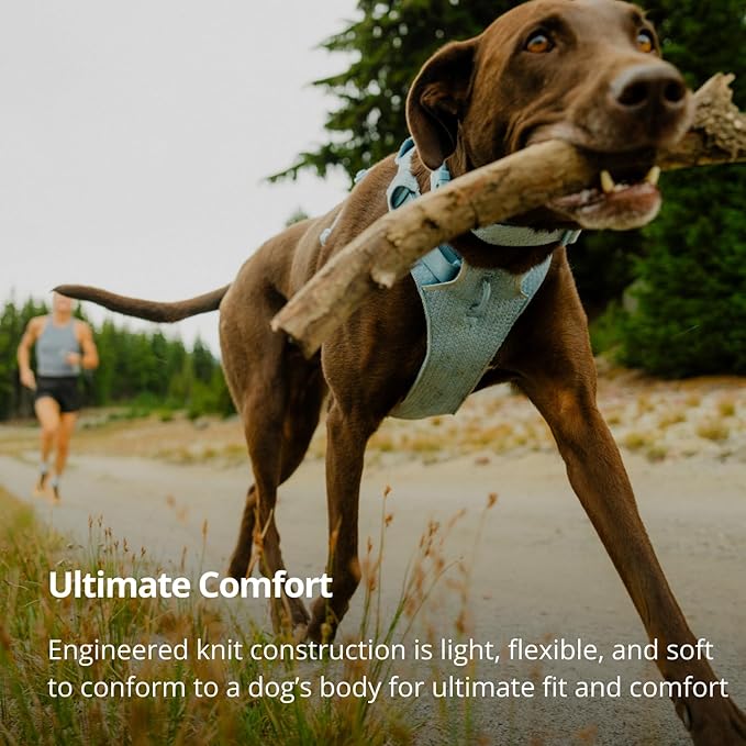 Ruffwear, Front Range Flex Dog Harness, Engineered Knit Construction for Ultimate Fit and Mobility, Lightweight Flexible Everyday Harness with Dual Leash Clips, Deep Teal, XX-Small