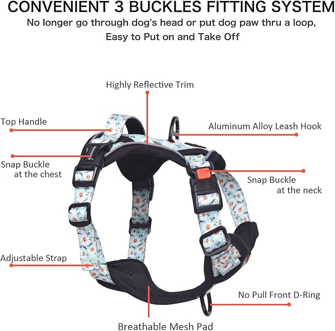 Petmolico No Pull Dog Harness Set with Leash Attachment Easy Control Handle Reflective Harness Vest Small Breed, Puppy Vest and Leash Set with Poop Bag Holder, Medium - Daisy