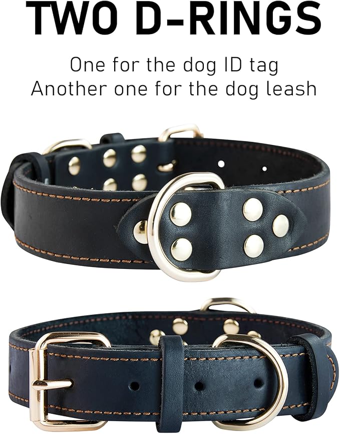 Leather Dog Collar, Heavy Duty, Wide, for Medium & Large Dogs, Single Stitch - Black