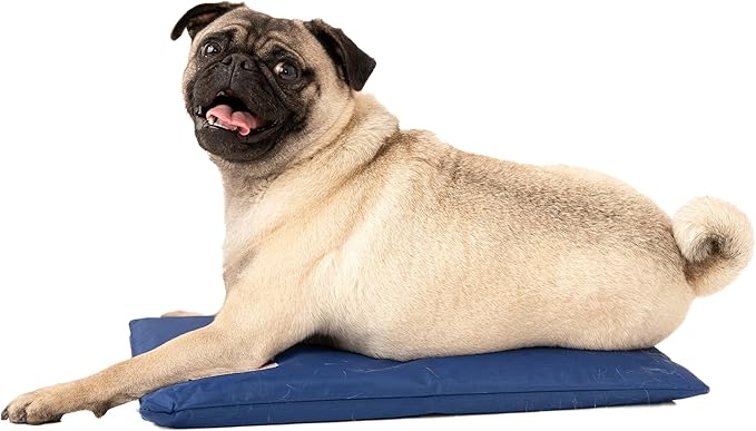 CoolerDog Hydro Cooling Mini Mat for Dogs – Dog Cooling Mat & Cooling Pad for Hot Weather – Triple Layer Ice & Water Cooling System (18" x 10.5")