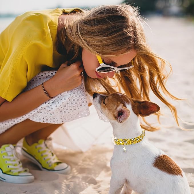 Maca Bates Summer Cute Dog Collar with Yellow Duck Print for Extra Small Boy Gril Dogs,Spring and Summer Styles Durable,Soft,Thick,Adjustable Puppy Basic Collars for Male Female Pet with Safety Buckle