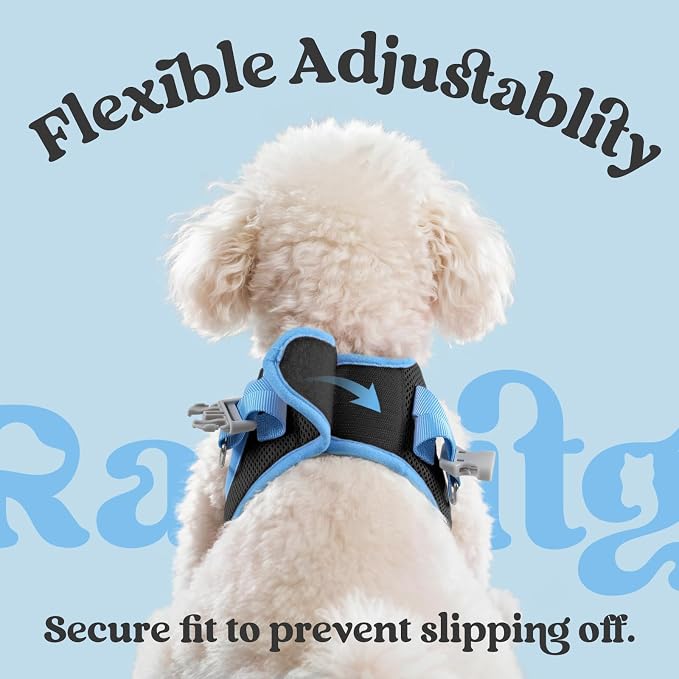 rabbitgoo Dog Harness Small Sized and Leash Set, Step-in Breathable Pet Harness, Soft Walking Reflective Puppy Vest for Small Dogs, Black & Light Blue, XXS