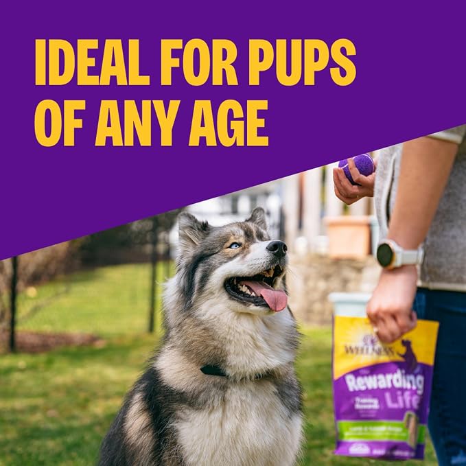 Wellness Rewarding Life Soft Dog Training Treats, Natural, Grain Free, Lamb and Salmon Recipe, 6 oz Bag