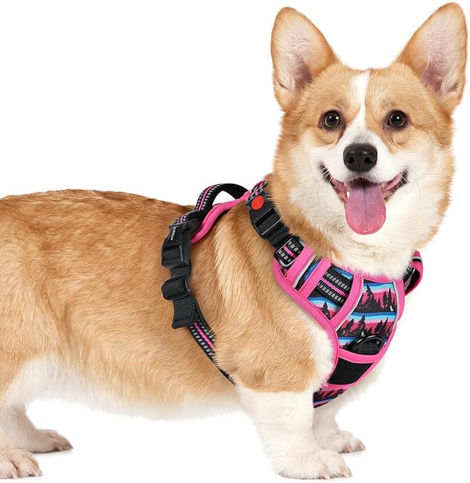 rabbitgoo Dog Harness Small Sized, No Pull Easy On & Off with 3 Buckles Pet Harness, Adjustable Soft Walking Vest with 2 Clips and Handle, Reflective for Small Dogs, Mountain Rose, S