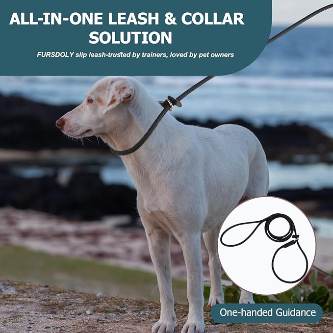 Slip Lead Dog Leash – Strong Nylon Training Rope with Spring-Loaded Adjustable Stopper – 5/16" x 4/5/6ft -No Pull Heavy Duty Leash for Small Medium Large Dogs(Pink, 5 FT)