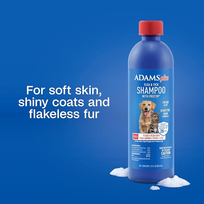 ADAMS Plus Flea & Tick Shampoo with Precor for Dogs, Cats, Puppies & Kittens, Flea Shampoo to Treat Infestations, Kills Ticks, Fleas, Flea Eggs & Lice, Cleans and Conditions Coat, 12 Ounces