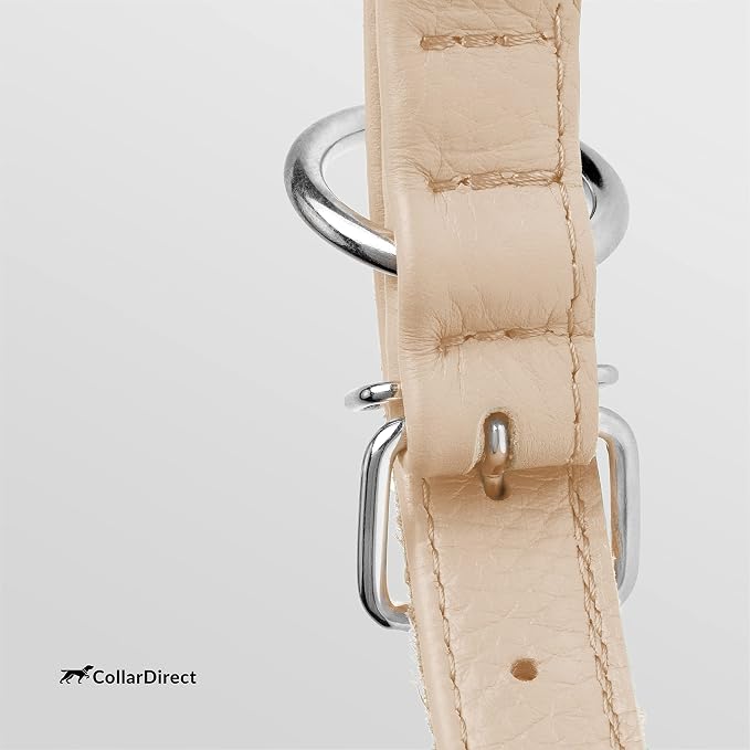 CollarDirect Rolled Leather Dog Collar, Soft Padded Round Puppy Collar, Handmade Genuine Leather Collar Dog Small Large Cat Collars 13 Colors (8-11 Inch, Beige Textured)