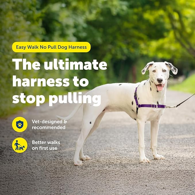 PetSafe Easy Walk No-Pull Dog Harness - Ultimate Harness to Help Stop Pulling - Pull-Free Walks - Take Control & Teach Better Leash Manners - Patented Martingale Loop Design - Black, Medium/Large