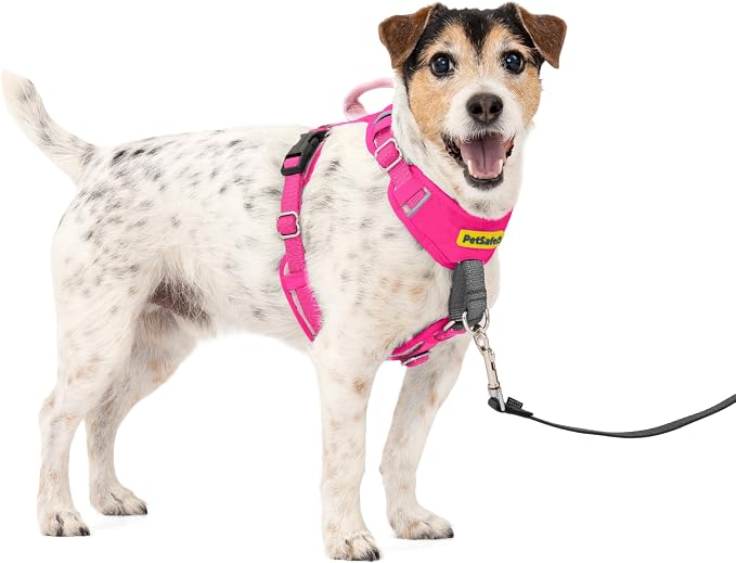 PetSafe Easy Walk Comfort No-Pull Dog Harness Full-Body Padding - Better Walks on the First Use - 5 Points of Adjustment Small, Pink