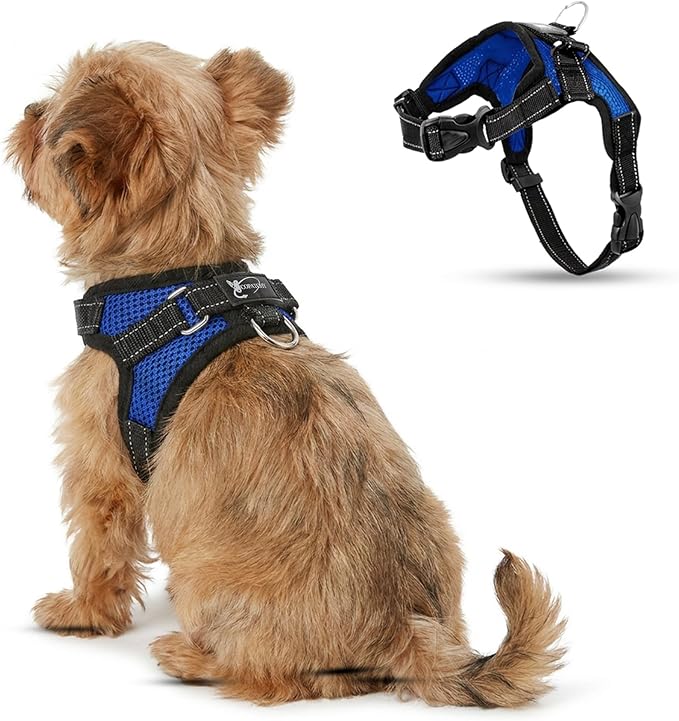 No Pull Reflective Adjustable Dog Harness With Handle- Comfortable Soft All Weather Mesh, Easy On Puppy Harness For Small Medium and Large Dogs (Blue) XX-Small