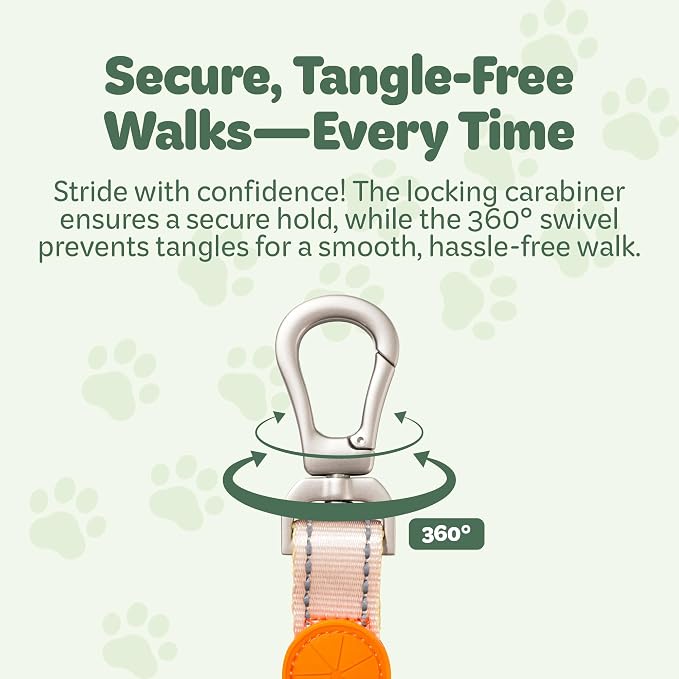 Desired Things Bungee Dog Leash Reflective Training Leash with Shock Absorbent Spring, Emergency Pull Handle, Collar Latch, D-Ring Buckle for Dog Treats, Poop Bags, Puppy Essentials - Pink and Blue