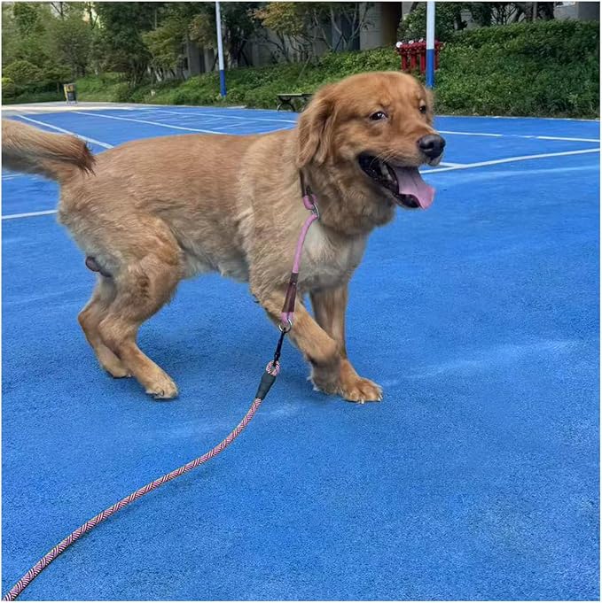 MayPaw Heavy Duty Rope Dog Leash, 6/8/10FT Nylon Pet Leash, Soft Padded Handle Thick Lead Leashes for Large Medium Dogs Walking Jogging (1/2" * 6', Pink Black)