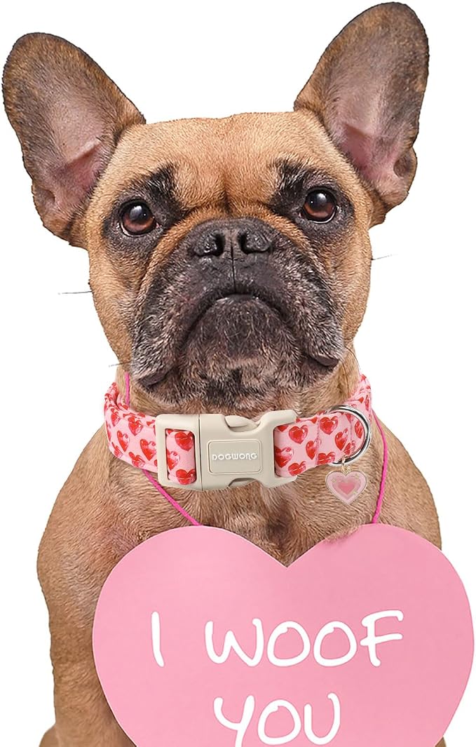 DOGWONG Valentine Dog Collar- Cute Pink Heart Dog Collars Adjustable Durable Designer Valentine’s Day Dog Collar for Small Medium Large Dogs M