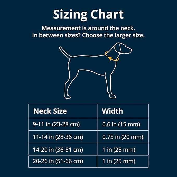 Ruffwear, Hi & Light Dog Collar, Ultralight Quick Release Buckle, Adjustable Trail Running Polyester Collar with Silent ID Attachment, Lichen Green, 9"-11"