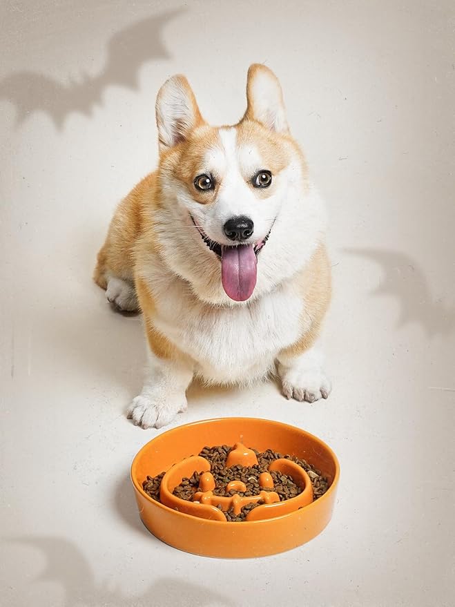 LE TAUCI Ceramic Slow Feeder Dog Bowl for Small Medium Dogs & Puppy, 1.5 Cup Puzzle Food Dish to Slow Down Eating, Pumpkin Orange