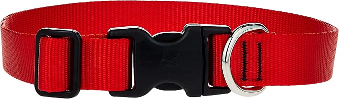 LupinePet Basics 1" Red 12-20" Adjustable Collar for Medium and Larger Dogs