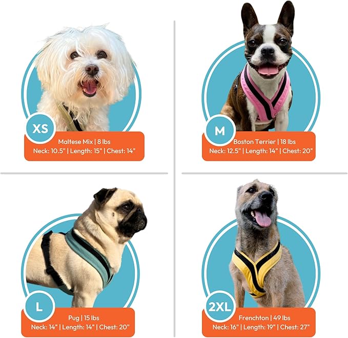 Gooby Comfort X One Dog Harness - Head-in Dog Harness for Small & Medium Sized Dogs - Escape-Free & Choke Free - Breathable Mesh, Shock Absorbing, Easy Snap & Swivel Buckles - Black, Large