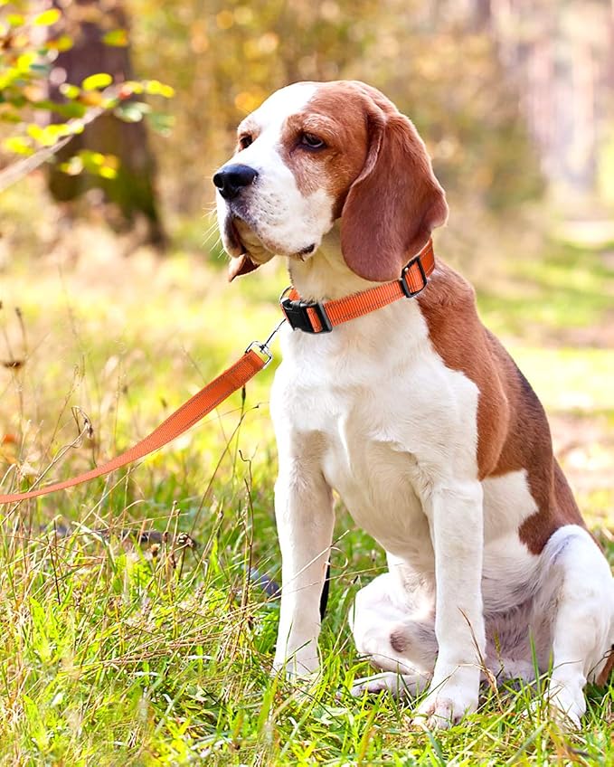 FunTags Length 14" - 20" Reflective Orange Dog Collar for Medium Dogs – Night Walking & Training Safety, Durable Quick Release Buckle, Nylon, Comfortable Adjustable, Width 1"