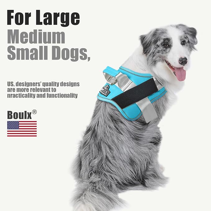 Dog Harness, No-Pull Reflective Dog Vest, Breathable Adjustable Pet Harness with Handle for Outdoor Walking - No More Pulling, Tugging or Choking (OceanicBlue, X-Small (Pack of 1))
