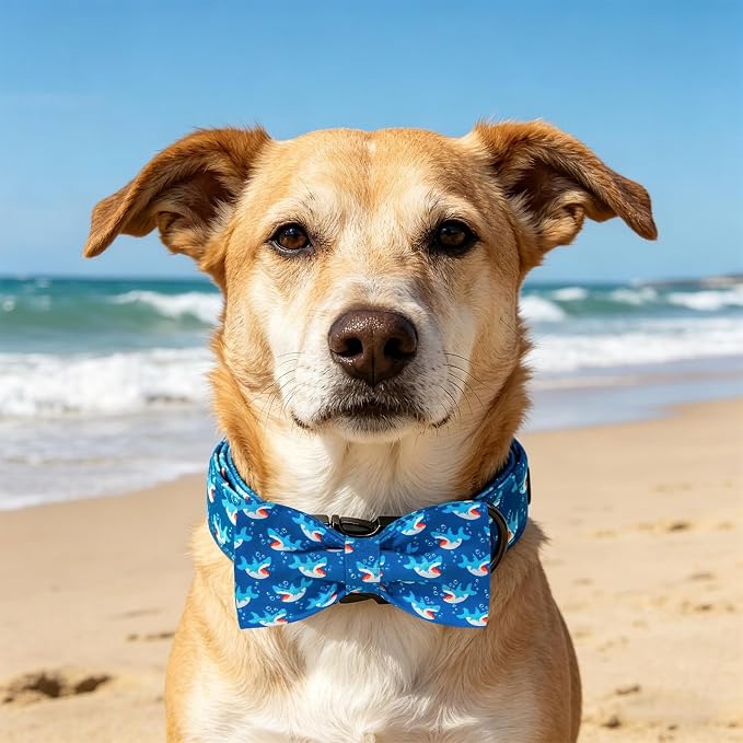 Elegant little tail Dog Collar, Shark Print Pet Collar with Bow, Summer Male Puppy Collars Bowtie Soft Adjustable Dog Collar for Small Medium Large Dogs