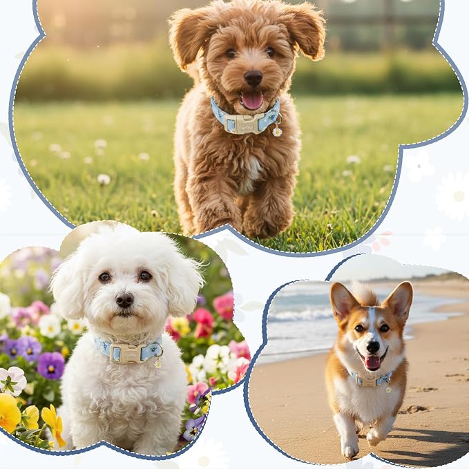 Dog Collar with Floral Patterns, Spring Summer Collection Blue Dog Collar with Exquisite Pendant, Durable Adjustable Collars for Gifts & Daily Use-S
