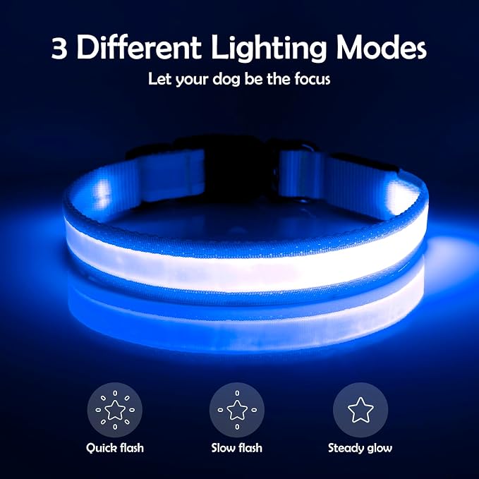 Vizpet LED Dog Collar, Light Up Dog Collar Adjustable USB Rechargeable Super Bright Safety Light Glowing Collars for Dogs(X-Large,Blue)