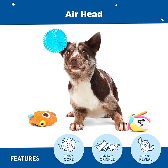 Barkbox Air Head Rip & Reveal Interactive Plush Dog Toy - Plush Chew Toy with Crinkle and Squeaky Spiky Ball Inside - for Medium to Large Dogs and Puppies