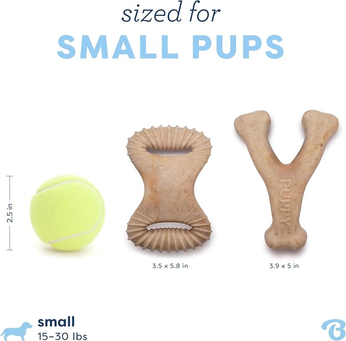 Benebone Puppy 2-Pack Dental Chew/Wishbone Durable Dog Chew Toys for Gentle Chewers, Real Chicken, Made in USA, Small