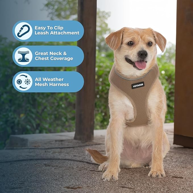 Best Pet Supplies Voyager Aerolite Over the Head Dog Harness, No Pull Breathable Air Mesh Vest, Quick Dry with Reflective Stitching, Adjustable Escape Resistant Harness - Beige, Small