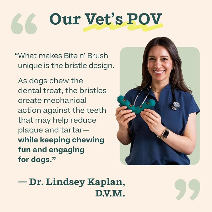 WOOF The Bite n' Brush - Dog Toothbrush Toy - Scrub Plaque and Tartar from Your Dog's Teeth and Mouth - Dog Dental Chew Toy - Large