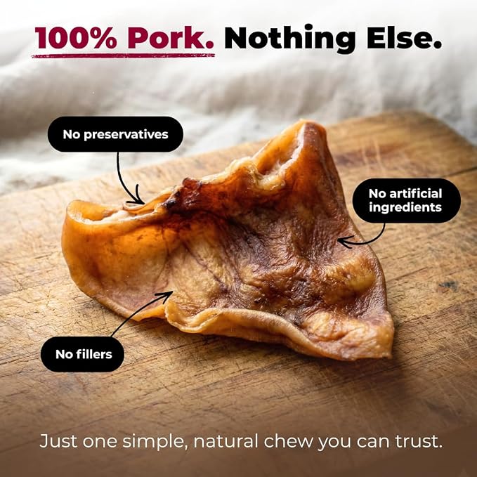 Best Pet Supplies GigaBite Whole Pig Ears for Dogs - All-Natural Slow-Roasted Chews That Clean Teeth and Satisfy Aggressive Chewers - 60 Pack for Large Dogs