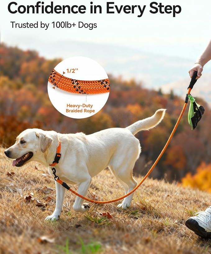 Joytale Dog Leash for Large Dogs, Heavy Duty Nylon Leashes with Comfortable Padded Handle and Highly Reflective Threads, Ideal for Walking and Training, Orange, 6'×1/2''