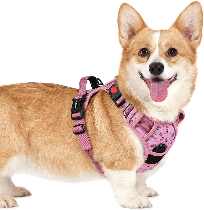 rabbitgoo Dog Harness Small Sized, No Pull Easy On & Off with 3 Buckles Pet Harness, Adjustable Soft Walking Vest with 2 Clips and Handle, Reflective for Small Dogs, Floral Pink, S