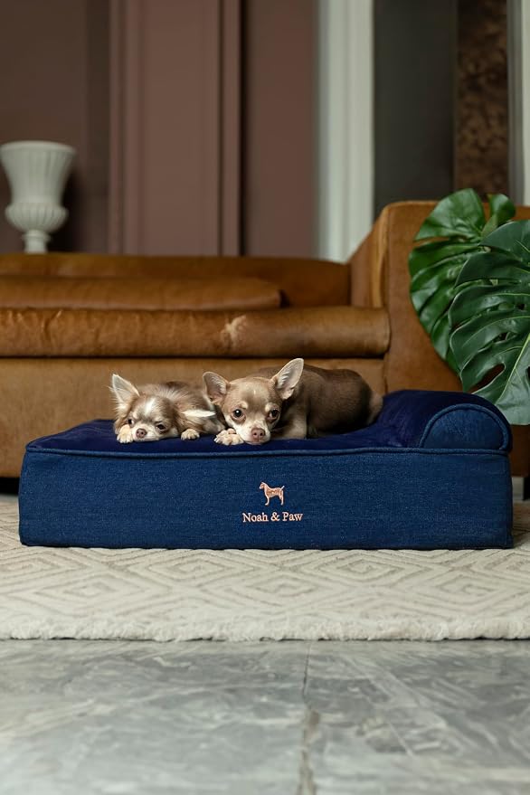 NOAH & PAW Dog Bed, 28x23x7.5 Inch, Orthopedic Dog Beds for Medium Size Pets, Eggshell Memory Foam Infused with Cooling Gel, Water Resistant, Machine Washable, Includes Inner Cover (Denim Collection)
