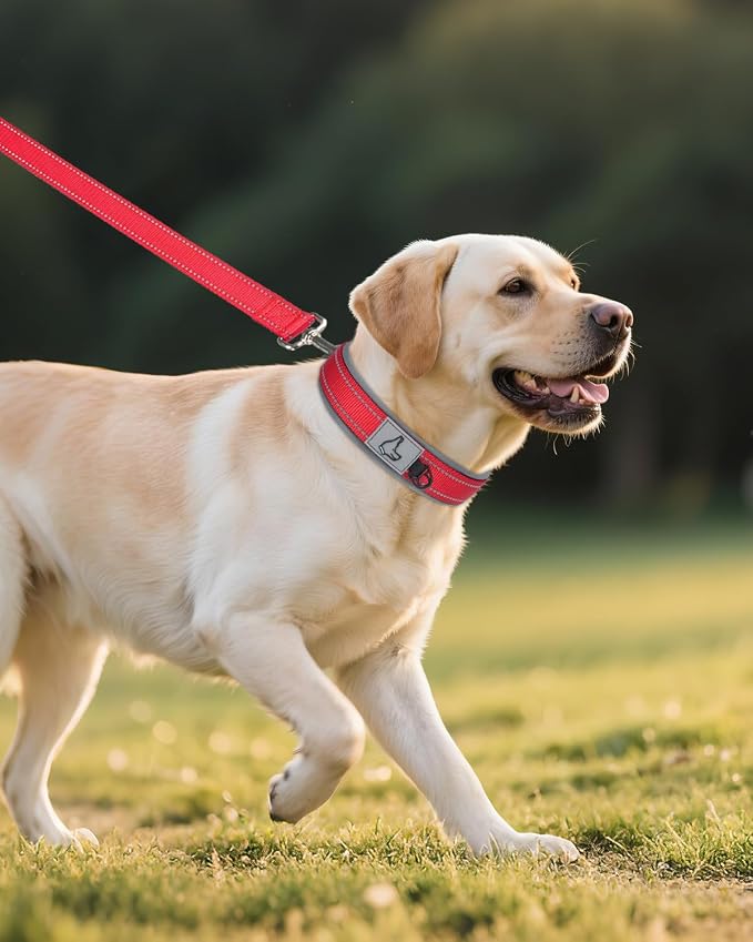Joytale Dog Collar for Large Dogs, Neoprene Padded and Adjustable, Reflective Wide Heavy Duty Pet Collars with Durable Metal Belt Buckle for Walking, Red, L