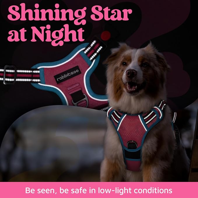 rabbitgoo Dog Harness for Large Dogs, 3 Buckles Easy On & Off No Pull Pet Vest, Soft Padded Walking Pet Harness with Control Handle, Adjustable and Reflective, Rose Pink & Blue, XL