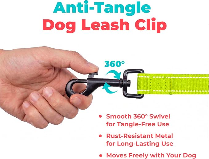 Best Pet Supplies Voyager Reflective Dog Leash or Collar with Neoprene Handle, for Small, Medium, and Large Breed Puppies, Cute and Heavy Duty for Walking, Running and Training - Lime Green (Leash), M