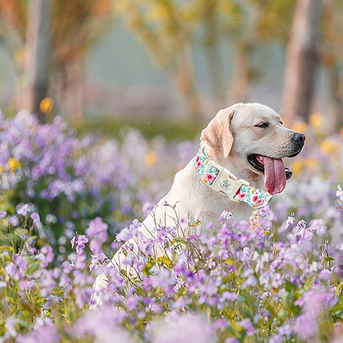 Elegant little tail Dog Collar, Pink Floral Print Pink Puppy Male Adjustable Cotton Pet Collar with Quick Release Buckle for Small Medium Large Dogs