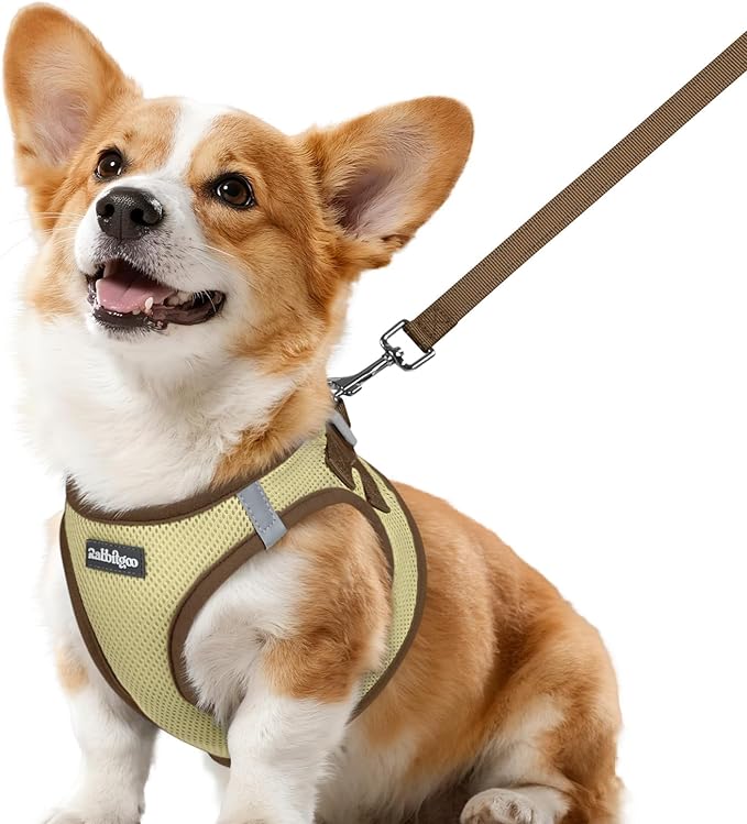 rabbitgoo Dog Harness Small Sized and Leash Set, Step-in Breathable Pet Harness, Soft Walking Reflective Puppy Vest for Small Dogs, Beige & Coffee, L
