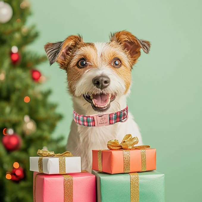 Christmas Plaid Dog Collar for Medium Dogs - Green & Rose Tartan Christmas Collars for Dogs, Sweet Festive Winter Heavy-Duty Adjustable Dog Collars with Metal Buckle M