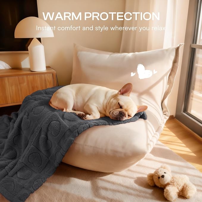 Luciphia 1 Pack 2 Small Dog Blanket Washable Pet Bed Cover Soft Fluffy Puppy Blanket with Premium Fleece 300GSM Cozy Calming Cat Blankets for Indoor Cats Grey/Beige 30x20 inch