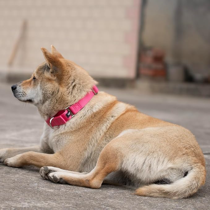 Hyhug Martingale Dog Collar Medium Pink |Escape - Proof Heavy Duty Nylon Durable No Slip, Ideal for Training & Daily Walks