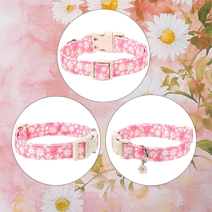 Daisy Dog Collar Pink Girl Dog Collars for Puppy Small Dogs - Lightweight Adjustable Spring/Summer Floral Female Dogs Everyday Collar with Safety Buckle XS