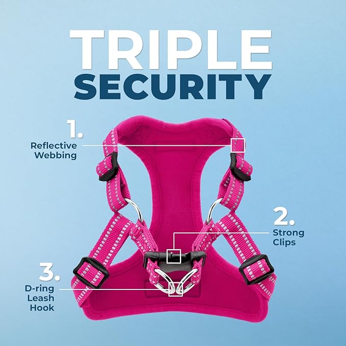 Best Pet Supplies Voyager Adjustable Step-in Flex Breathable Mesh Dog Harness for Small Medium Large Dogs Leash Set (Fuchsia), S