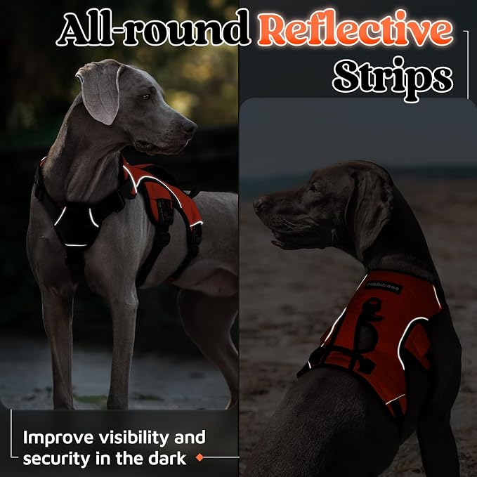 rabbitgoo Escape Proof Dog Harness, Soft Padded Full Body Pet Harness, Reflective Adjustable No Pull Vest with Lift Handle and Leash Clip for Large Dogs Walking Hiking Training, XL, Orange